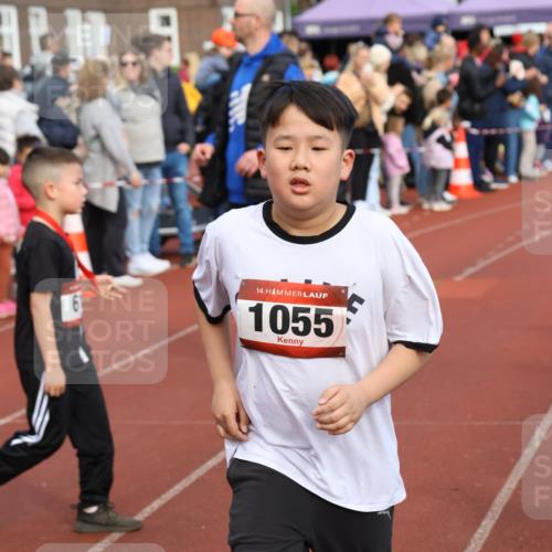 14.04.2024 - Hammer Lauf Strokosch-Dieckow http://msf.ph/oto/6066388 14.04.2024 09:54:09 Ziel 808, 1055, 1379, 1393, 808, 1055, 1379, 1393 meine-sportfotos.de