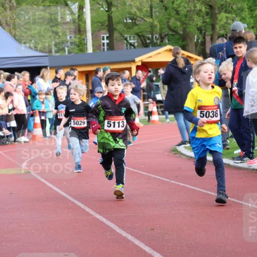 14.04.2024 - Hammer Lauf Strokosch-Dieckow http://msf.ph/oto/6066417 14.04.2024 09:39:26 Ziel  meine-sportfotos.de