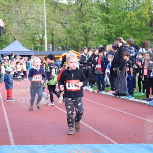 14.04.2024 - Hammer Lauf Strokosch-Dieckow http://msf.ph/oto/6066564 14.04.2024 09:39:44 Ziel  meine-sportfotos.de