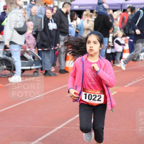 14.04.2024 - Hammer Lauf Strokosch-Dieckow http://msf.ph/oto/6066628 14.04.2024 09:55:16 Ziel 912, 1022, 1041, 912, 1022, 1041 meine-sportfotos.de