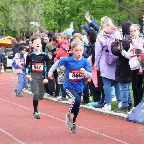 14.04.2024 - Hammer Lauf Strokosch-Dieckow http://msf.ph/oto/6067314 14.04.2024 09:49:36 Ziel 154, 644, 789 meine-sportfotos.de