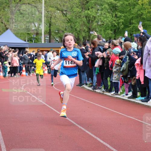 14.04.2024 - Hammer Lauf Strokosch-Dieckow http://msf.ph/oto/6067356 14.04.2024 09:49:40 Ziel 154, 644, 789, 865, 947 meine-sportfotos.de