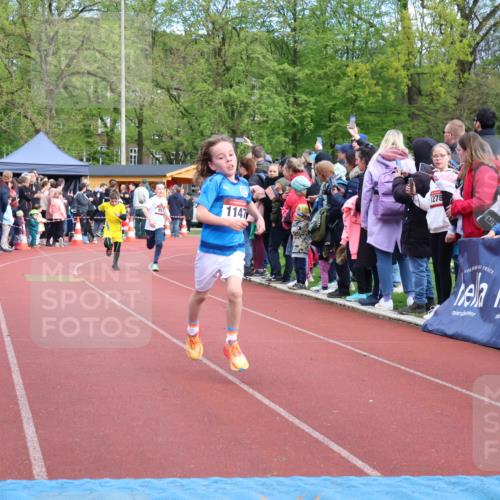 14.04.2024 - Hammer Lauf Strokosch-Dieckow http://msf.ph/oto/6067361 14.04.2024 09:49:40 Ziel 154, 644, 789, 865, 947 meine-sportfotos.de