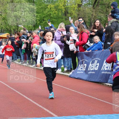 14.04.2024 - Hammer Lauf Strokosch-Dieckow http://msf.ph/oto/6067415 14.04.2024 09:49:47 Ziel 865, 947, 951, 964, 1147, 1273 meine-sportfotos.de