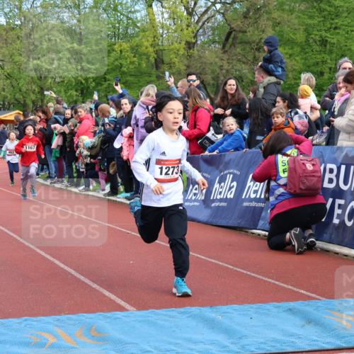 14.04.2024 - Hammer Lauf Strokosch-Dieckow http://msf.ph/oto/6067420 14.04.2024 09:49:47 Ziel 865, 947, 951, 964, 1147, 1273 meine-sportfotos.de