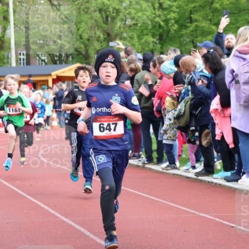 14.04.2024 - Hammer Lauf Strokosch-Dieckow http://msf.ph/oto/6067527 14.04.2024 09:49:58 Ziel 462, 513, 637, 647, 926, 1024, 1167, 1371 meine-sportfotos.de