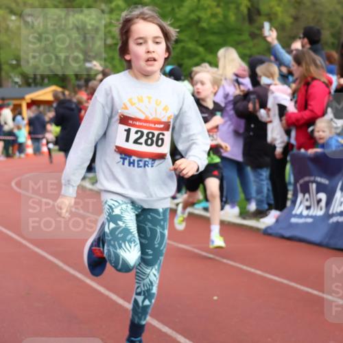 14.04.2024 - Hammer Lauf Strokosch-Dieckow http://msf.ph/oto/6067621 14.04.2024 09:50:05 Ziel 449, 504, 513, 637, 647, 926, 938, 940, 953, 1024, 1161, 1286, 1343, 1371 meine-sportfotos.de