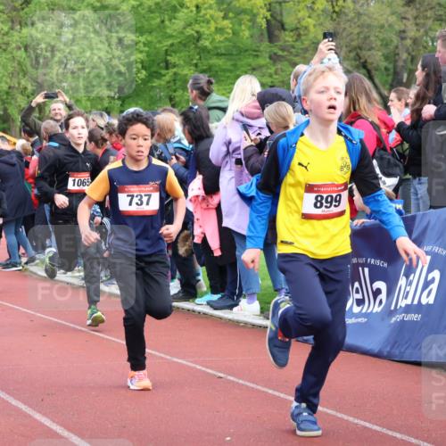 14.04.2024 - Hammer Lauf Strokosch-Dieckow http://msf.ph/oto/6067750 14.04.2024 09:50:19 Ziel 484, 725, 739, 863, 1005, 1019 meine-sportfotos.de