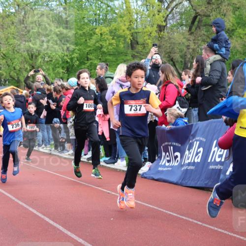14.04.2024 - Hammer Lauf Strokosch-Dieckow http://msf.ph/oto/6067760 14.04.2024 09:50:20 Ziel 484, 725, 739, 863, 899, 1005, 1019 meine-sportfotos.de