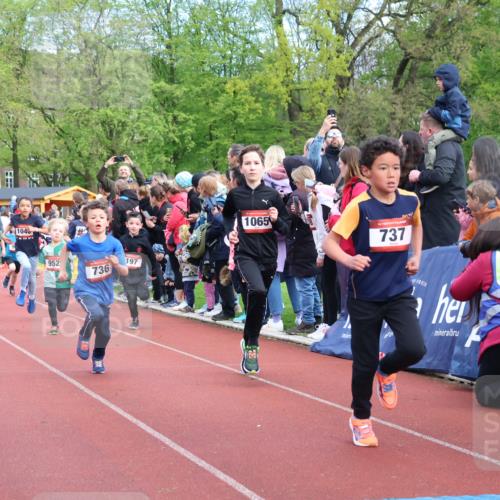 14.04.2024 - Hammer Lauf Strokosch-Dieckow http://msf.ph/oto/6067765 14.04.2024 09:50:20 Ziel 484, 725, 739, 863, 899, 1005, 1019 meine-sportfotos.de