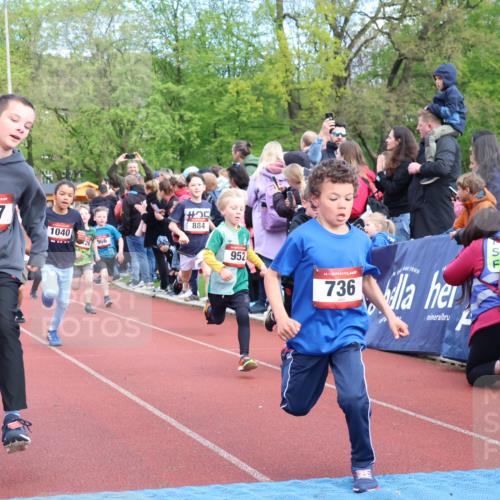 14.04.2024 - Hammer Lauf Strokosch-Dieckow http://msf.ph/oto/6067786 14.04.2024 09:50:22 Ziel 197, 484, 725, 736, 737, 739, 787, 863, 899, 952, 1005, 1019, 1065 meine-sportfotos.de