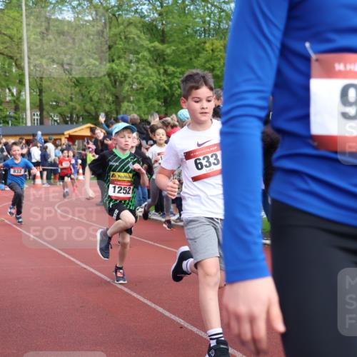 14.04.2024 - Hammer Lauf Strokosch-Dieckow http://msf.ph/oto/6068230 14.04.2024 09:50:55 Ziel 498, 514, 542, 633, 648, 705, 957, 967, 1035, 1058, 1180, 1362, 1394 meine-sportfotos.de