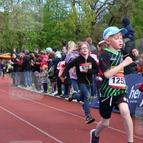 14.04.2024 - Hammer Lauf Strokosch-Dieckow http://msf.ph/oto/6068240 14.04.2024 09:50:56 Ziel 498, 514, 542, 633, 640, 648, 705, 957, 967, 1035, 1180, 1252, 1362, 1394 meine-sportfotos.de