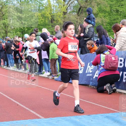14.04.2024 - Hammer Lauf Strokosch-Dieckow http://msf.ph/oto/6068351 14.04.2024 09:51:03 Ziel 630, 633, 640, 648, 832, 967, 978, 995, 1027, 1032, 1252, 1394 meine-sportfotos.de