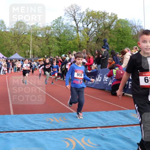 14.04.2024 - Hammer Lauf Strokosch-Dieckow http://msf.ph/oto/6068515 14.04.2024 09:51:12 Ziel 463, 544, 555, 591, 619, 630, 666, 854, 948, 956, 995 meine-sportfotos.de