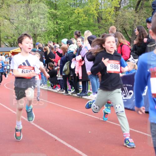 14.04.2024 - Hammer Lauf Strokosch-Dieckow http://msf.ph/oto/6068530 14.04.2024 09:51:13 Ziel 463, 544, 555, 591, 619, 630, 666, 689, 854, 948, 956, 986, 995 meine-sportfotos.de