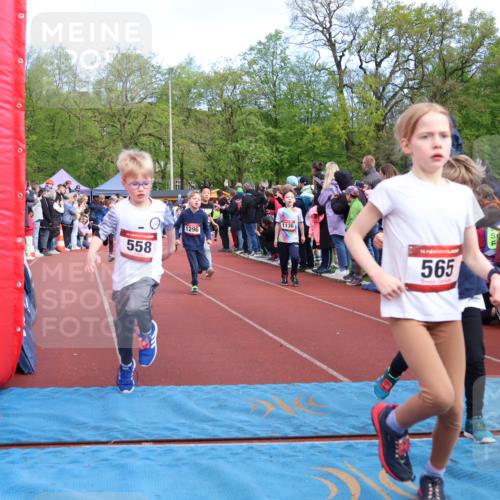 14.04.2024 - Hammer Lauf Strokosch-Dieckow http://msf.ph/oto/6068713 14.04.2024 09:51:23 Ziel 393, 431, 558, 565, 639, 689, 751, 752, 986, 1042, 1107, 1202, 1284, 1297 meine-sportfotos.de