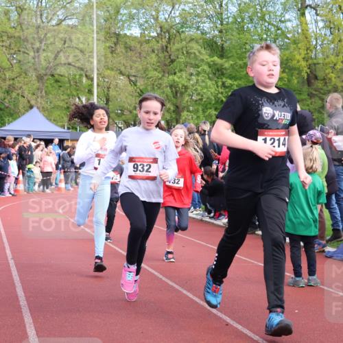 14.04.2024 - Hammer Lauf Strokosch-Dieckow http://msf.ph/oto/6068871 14.04.2024 09:51:30 Ziel 213, 393, 431, 558, 565, 651, 751, 968, 1004, 1136, 1187, 1202, 1214, 1284, 1296, 1389 meine-sportfotos.de