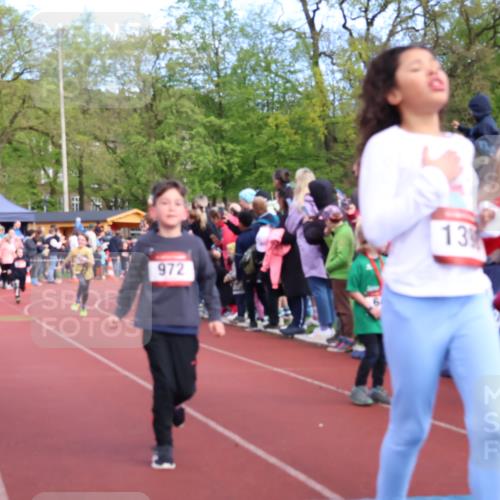 14.04.2024 - Hammer Lauf Strokosch-Dieckow http://msf.ph/oto/6068934 14.04.2024 09:51:32 Ziel 213, 393, 558, 565, 651, 732, 932, 968, 1004, 1136, 1187, 1202, 1214, 1296, 1389, 1398 meine-sportfotos.de