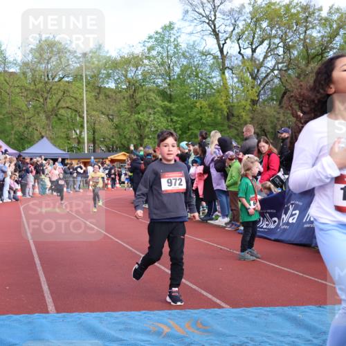 14.04.2024 - Hammer Lauf Strokosch-Dieckow http://msf.ph/oto/6068945 14.04.2024 09:51:32 Ziel 213, 393, 558, 565, 651, 732, 932, 968, 1004, 1136, 1187, 1202, 1214, 1296, 1389, 1398 meine-sportfotos.de