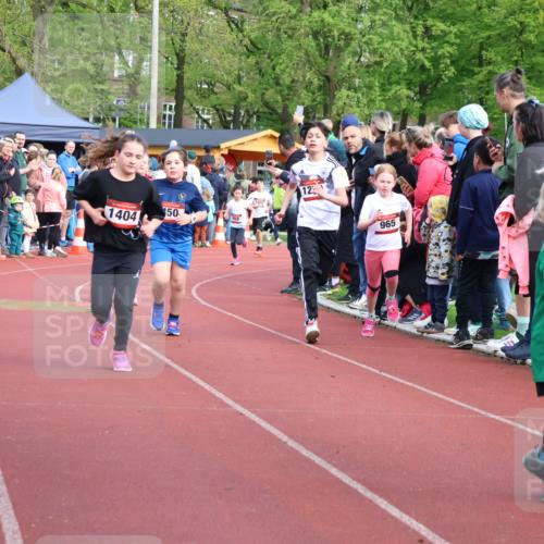 14.04.2024 - Hammer Lauf Strokosch-Dieckow http://msf.ph/oto/6069068 14.04.2024 09:51:40 Ziel 527, 732, 932, 972, 1138, 1214, 1398 meine-sportfotos.de
