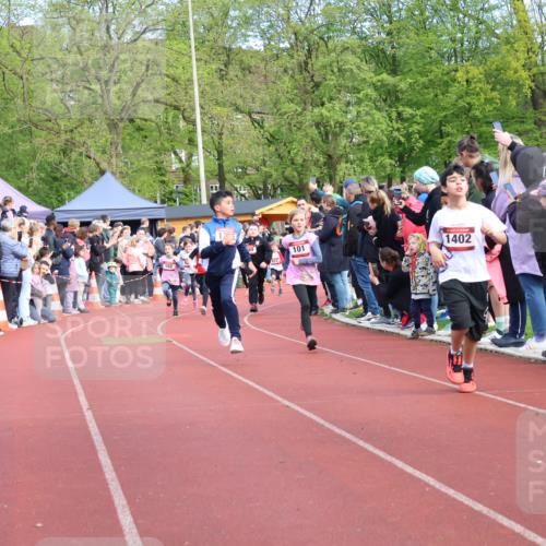 14.04.2024 - Hammer Lauf Strokosch-Dieckow http://msf.ph/oto/6069220 14.04.2024 09:51:51 Ziel 450, 959, 965, 982, 1270, 1404 meine-sportfotos.de