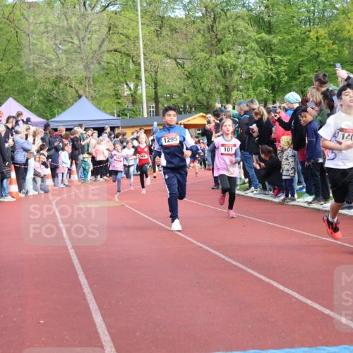 14.04.2024 - Hammer Lauf Strokosch-Dieckow http://msf.ph/oto/6069226 14.04.2024 09:51:51 Ziel 450, 959, 965, 982, 1270, 1404 meine-sportfotos.de
