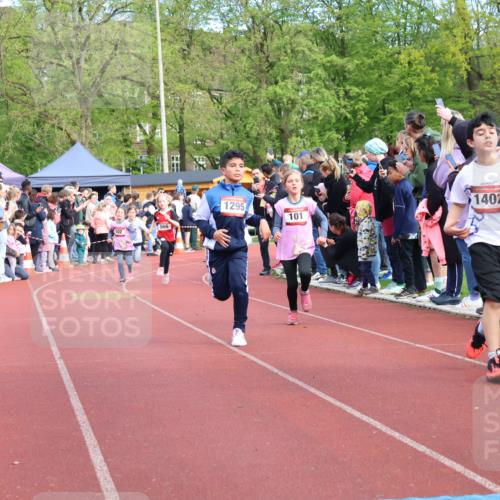 14.04.2024 - Hammer Lauf Strokosch-Dieckow http://msf.ph/oto/6069233 14.04.2024 09:51:52 Ziel 450, 959, 965, 982, 1270, 1404 meine-sportfotos.de