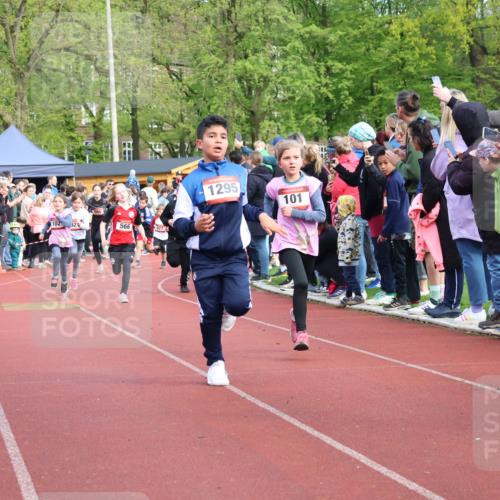 14.04.2024 - Hammer Lauf Strokosch-Dieckow http://msf.ph/oto/6069239 14.04.2024 09:51:52 Ziel 450, 959, 965, 982, 1270, 1404 meine-sportfotos.de