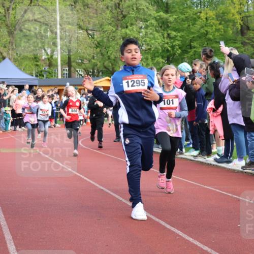 14.04.2024 - Hammer Lauf Strokosch-Dieckow http://msf.ph/oto/6069252 14.04.2024 09:51:53 Ziel 450, 959, 965, 982, 1270, 1402, 1404 meine-sportfotos.de