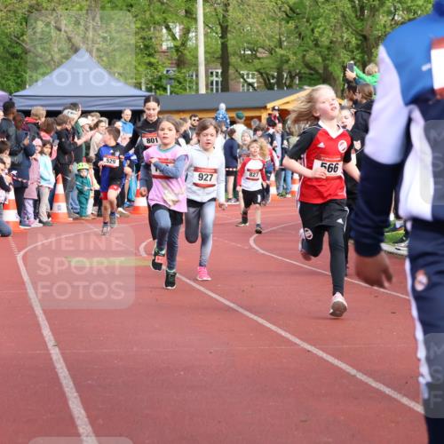 14.04.2024 - Hammer Lauf Strokosch-Dieckow http://msf.ph/oto/6069264 14.04.2024 09:51:54 Ziel 101, 450, 959, 982, 1295, 1402 meine-sportfotos.de