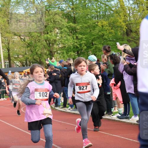 14.04.2024 - Hammer Lauf Strokosch-Dieckow http://msf.ph/oto/6069270 14.04.2024 09:51:56 Ziel 101, 566, 959, 1295, 1402 meine-sportfotos.de