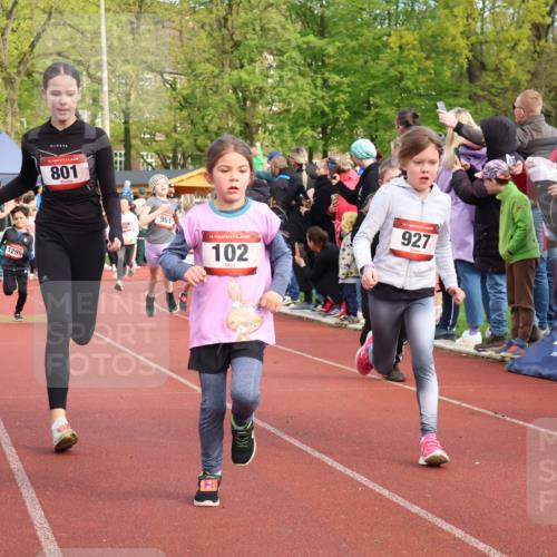 14.04.2024 - Hammer Lauf Strokosch-Dieckow http://msf.ph/oto/6069276 14.04.2024 09:51:56 Ziel 101, 566, 959, 1295, 1402 meine-sportfotos.de