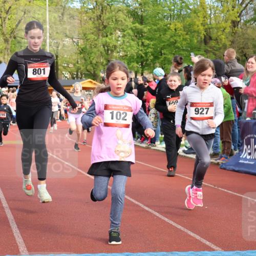 14.04.2024 - Hammer Lauf Strokosch-Dieckow http://msf.ph/oto/6069283 14.04.2024 09:51:57 Ziel 101, 102, 566, 801, 927, 1295, 1402 meine-sportfotos.de