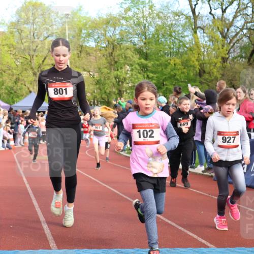 14.04.2024 - Hammer Lauf Strokosch-Dieckow http://msf.ph/oto/6069288 14.04.2024 09:51:57 Ziel 101, 102, 566, 801, 927, 1295, 1402 meine-sportfotos.de