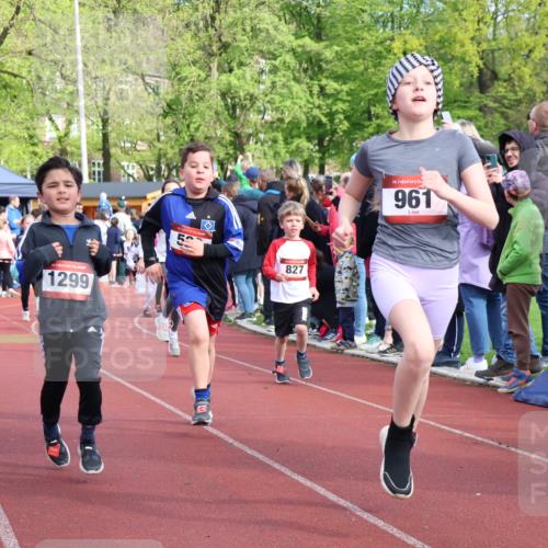 14.04.2024 - Hammer Lauf Strokosch-Dieckow http://msf.ph/oto/6069318 14.04.2024 09:51:59 Ziel 101, 102, 566, 801, 927, 1295, 1299, 1402 meine-sportfotos.de