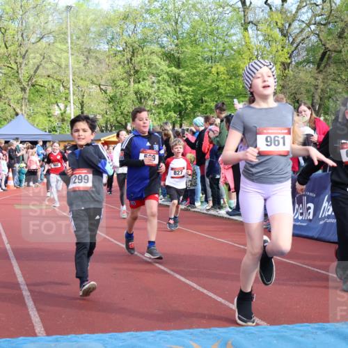 14.04.2024 - Hammer Lauf Strokosch-Dieckow http://msf.ph/oto/6069325 14.04.2024 09:51:59 Ziel 101, 102, 566, 801, 927, 1295, 1299, 1402 meine-sportfotos.de