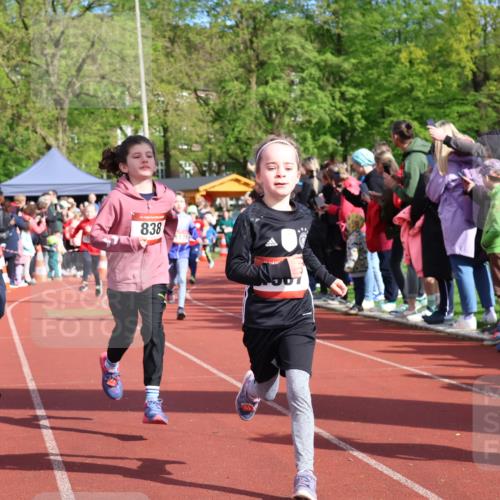14.04.2024 - Hammer Lauf Strokosch-Dieckow http://msf.ph/oto/6069539 14.04.2024 09:52:13 Ziel 366, 428, 465, 570, 703, 838, 971, 1038, 1289, 1307, 1313, 1320, 1323 meine-sportfotos.de