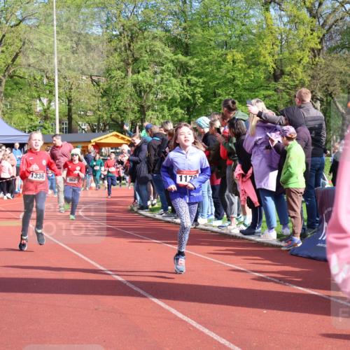 14.04.2024 - Hammer Lauf Strokosch-Dieckow http://msf.ph/oto/6069586 14.04.2024 09:52:14 Ziel 428, 465, 703, 838, 971, 1038, 1289, 1307, 1313, 1320, 1323 meine-sportfotos.de