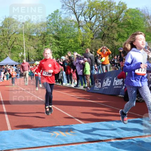 14.04.2024 - Hammer Lauf Strokosch-Dieckow http://msf.ph/oto/6069616 14.04.2024 09:52:16 Ziel 428, 465, 703, 838, 971, 1038, 1179, 1289, 1307, 1313, 1320, 1336 meine-sportfotos.de