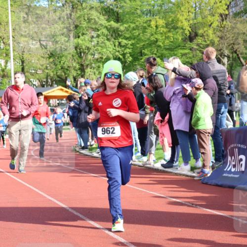 14.04.2024 - Hammer Lauf Strokosch-Dieckow http://msf.ph/oto/6069659 14.04.2024 09:52:18 Ziel 428, 465, 838, 971, 1179, 1289, 1307, 1313, 1320, 1336 meine-sportfotos.de