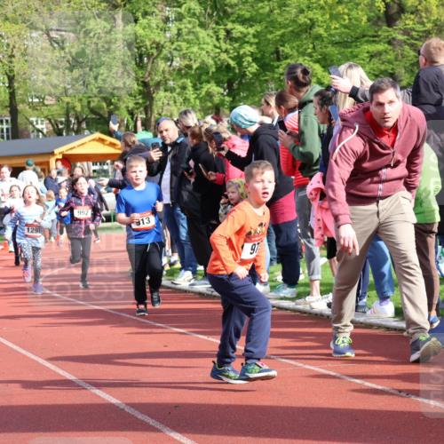 14.04.2024 - Hammer Lauf Strokosch-Dieckow http://msf.ph/oto/6069732 14.04.2024 09:52:22 Ziel 838, 962, 1179, 1307, 1320, 1336 meine-sportfotos.de