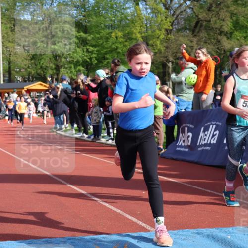 14.04.2024 - Hammer Lauf Strokosch-Dieckow http://msf.ph/oto/6070022 14.04.2024 09:52:36 Ziel 439, 569, 615, 672, 720, 866, 913, 949, 992, 1034, 1141, 1291 meine-sportfotos.de