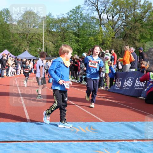 14.04.2024 - Hammer Lauf Strokosch-Dieckow http://msf.ph/oto/6070081 14.04.2024 09:52:39 Ziel 569, 615, 672, 949, 1034, 1141, 1226 meine-sportfotos.de