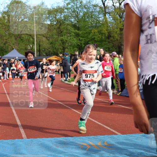 14.04.2024 - Hammer Lauf Strokosch-Dieckow http://msf.ph/oto/6070256 14.04.2024 09:52:48 Ziel 312, 394, 526, 578, 931, 950, 954, 975, 996, 1010, 1226, 1287, 1319, 1365, 1397, 1400 meine-sportfotos.de