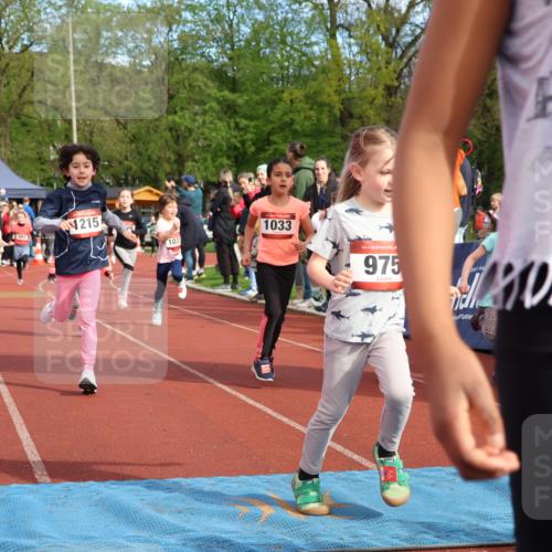 14.04.2024 - Hammer Lauf Strokosch-Dieckow http://msf.ph/oto/6070263 14.04.2024 09:52:48 Ziel 312, 394, 526, 578, 931, 950, 954, 975, 996, 1010, 1226, 1287, 1319, 1365, 1397, 1400 meine-sportfotos.de