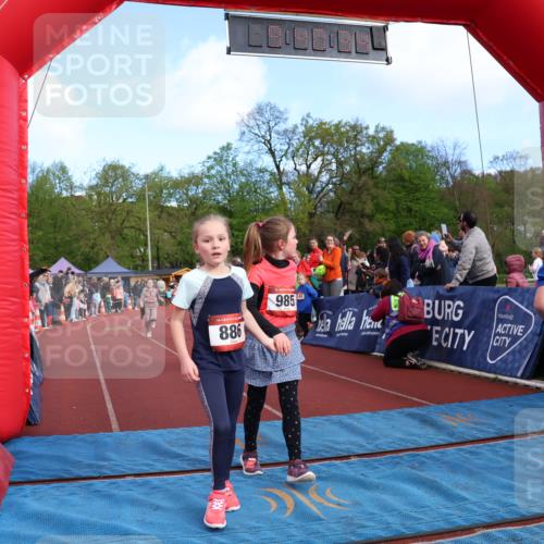 14.04.2024 - Hammer Lauf Strokosch-Dieckow http://msf.ph/oto/6070343 14.04.2024 09:52:55 Ziel 283, 394, 429, 526, 545, 886, 931, 975, 985, 1010, 1031, 1033, 1215, 1319, 1365, 1386, 1400 meine-sportfotos.de