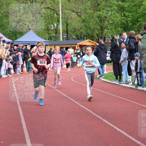 14.04.2024 - Hammer Lauf Strokosch-Dieckow http://msf.ph/oto/6070582 14.04.2024 09:53:13 Ziel 546, 946, 1001, 1014, 1403 meine-sportfotos.de