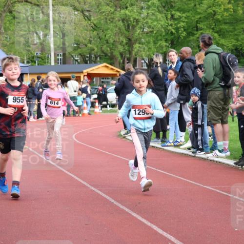 14.04.2024 - Hammer Lauf Strokosch-Dieckow http://msf.ph/oto/6070596 14.04.2024 09:53:13 Ziel 546, 946, 1001, 1014, 1403 meine-sportfotos.de