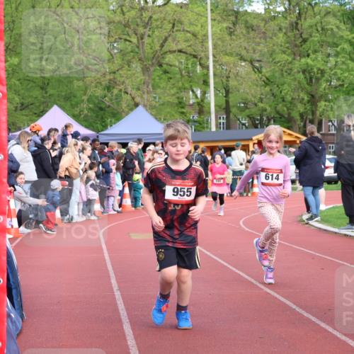 14.04.2024 - Hammer Lauf Strokosch-Dieckow http://msf.ph/oto/6070611 14.04.2024 09:53:14 Ziel 946, 1001, 1014, 1403 meine-sportfotos.de